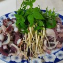 (주)그린팜 Daum카페