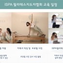 원정제 이미지