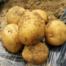 건강웰빙밥상 이미지