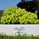 29170-6-A-11 | 이마트 고래잇 페스타 현장후기 9/3~9/6 이마트 할인용품 총정리 사야할것 미리 정리하세요