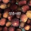 안*찬 이미지