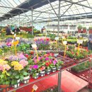 분당장터길 이미지