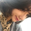 백프로(100%)헤어 이미지