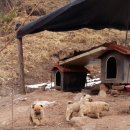 꿈의농장 이미지