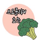 [간석오거리 PT]브로콜리의 효능