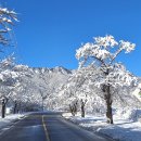 치명적인 아름다움...설악 설경 이미지