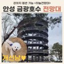 하늘과바람의호수 | 안성 금광호수 하늘전망대 - 애견동반 가볼만한 곳 / 강아지 동반 정보, 주차