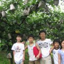 한옥농장 이미지