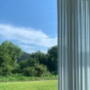 구공스테이도고키즈 이미지