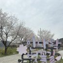 인다락벚꽃길 이미지