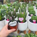 승진농장2 이미지