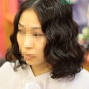 멍멍이 미용실 이미지