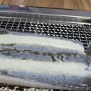 금빛장어 이미지