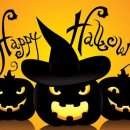 더엔비헤어 이미지