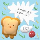 필라테스홀릭
