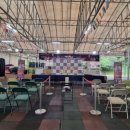 투혼복싱 이미지