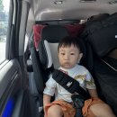 (주)누누로 | 35개월 아이랑 함께 장누누리파크 캠핑장 (2박 3일) 후기 (1)