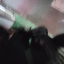 향쌤영어학원