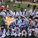 강서월드태권도장 이미지