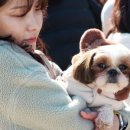 세종가축병원 이미지