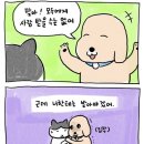 김고원 | 침대는 좋아.