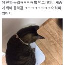 텀즈