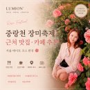 면목동-163 | 중랑 서울장미축제 2026 근처 맛집 카페 추천, 서울 데이트 코스 완성