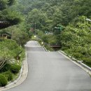 성불산자연휴양림 캠핑장 | &lt;괴산 국립 휴양림/ 괴산 캠핑장&gt; 성불산자연휴양림 야영장으로 솔캠 다녀온 후기