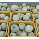 은숙농장 이미지