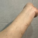 모벨로 | 모벨로 물염색약 후기｜순한 새치염색 염색약추천 흰머리관리까지 편했던 물염색