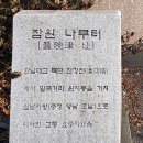 잠원동014 이미지