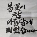 글씨에 감성을 더하다 캘리그라피 이미지