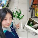 스타일남이 | 유럽여행(1)