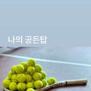 라온테니스