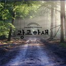 광고하새