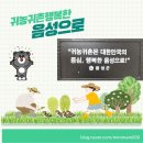 이룸토건