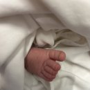 이레케어 | 미션: 생후 17일 아기 케어하기, 아기 태열 관리, 이레아이맘 신생아 산모 관리사님 후기, 1차 영유아 검진