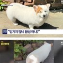 매산목장 | you make my heart feel like its summer