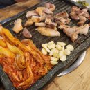 싱싱도야지 이미지