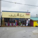 강릉 하버그릴 강문해변 수제핫도그 카페 방문후기~