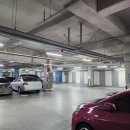 김대박양꼬치 | 풍무동 양꼬치 맛집 화로가 특이한 김대박양꼬치 내돈내산