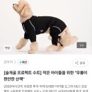 🖤ARIEL DOG X 행복한 유기견 세상 와디즈 펀딩이 열렸습니다.🖤 이미지