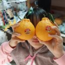 금수레농수산