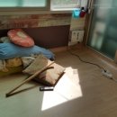 건식농장 이미지