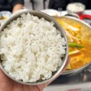 고성 오호항 자연산 막회 맛집 돌고래횟집, 회 맛집의 기준을 완전히 뒤바꾼 완벽했던 진짜 회맛집...