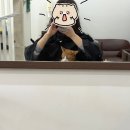 임자네,묭실