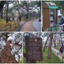 오솔길근린공원 이미지