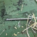 세종해수사우나 이미지