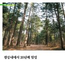 마이더스힐링센터 이미지
