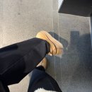 아름이농장 | 새해는 항상 드릉드릉...